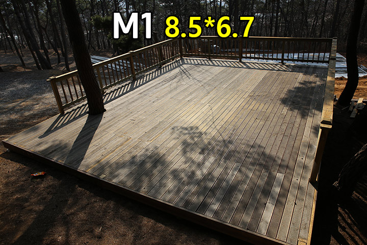 M01.jpg