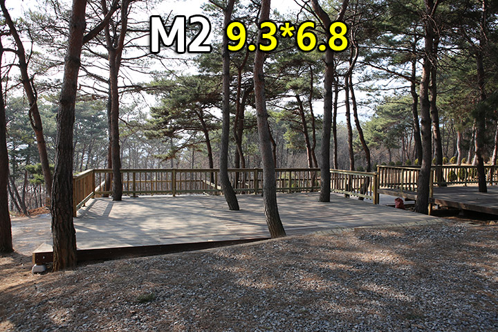 M02.jpg