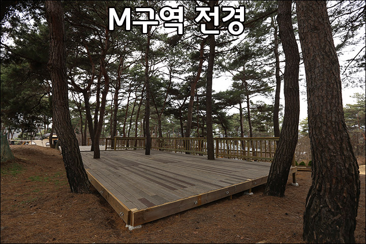 M00_5.jpg