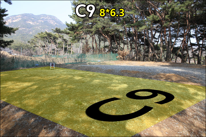 C9_1.jpg