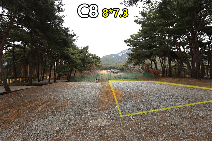 C8_2.jpg