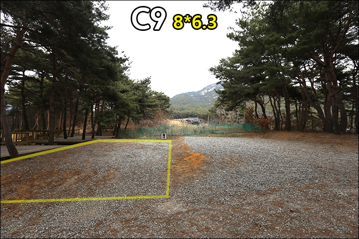 C9_2.jpg