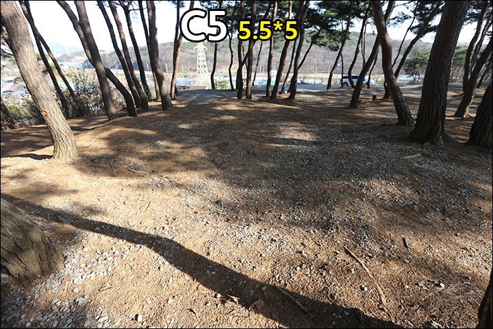 C5_2.jpg