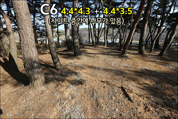 C6.jpg