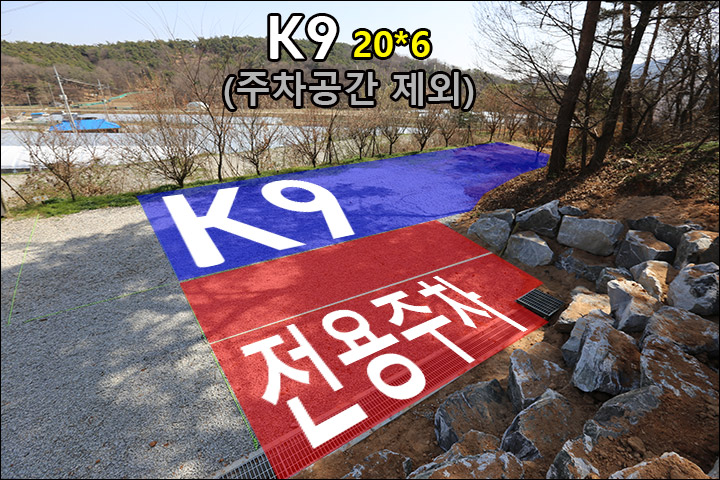 K9_01.jpg