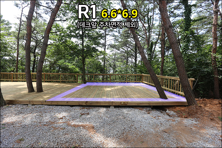 R1_1.jpg