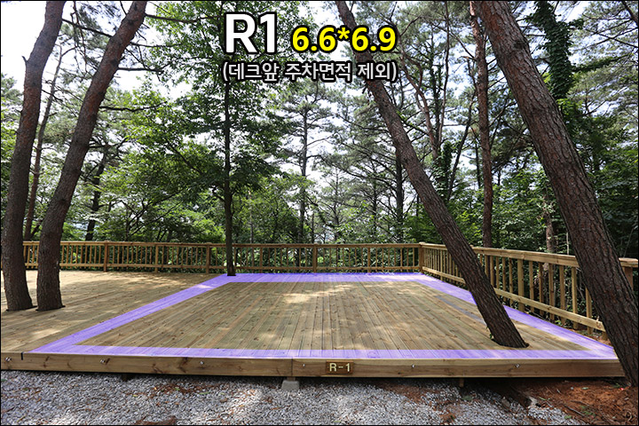 R1_2.jpg