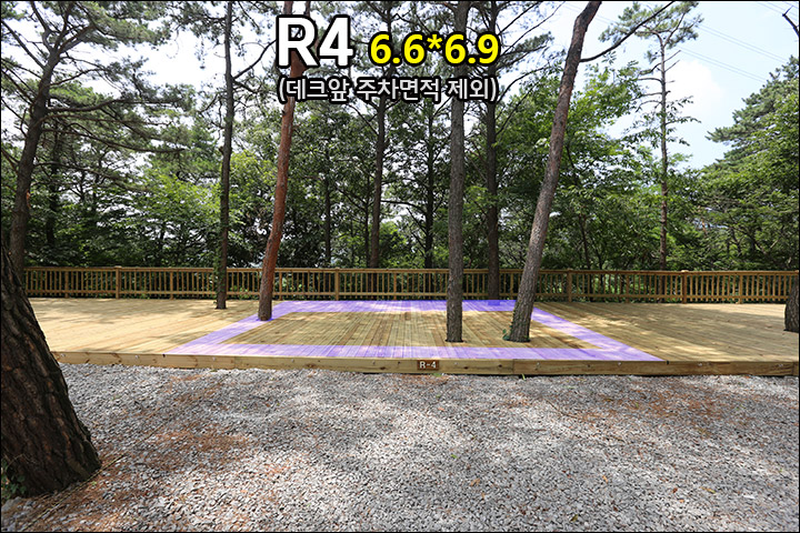 R4_1.jpg