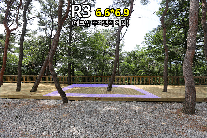 R3_1.jpg
