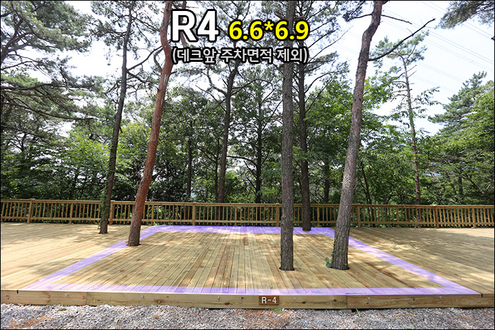 R4_2.jpg