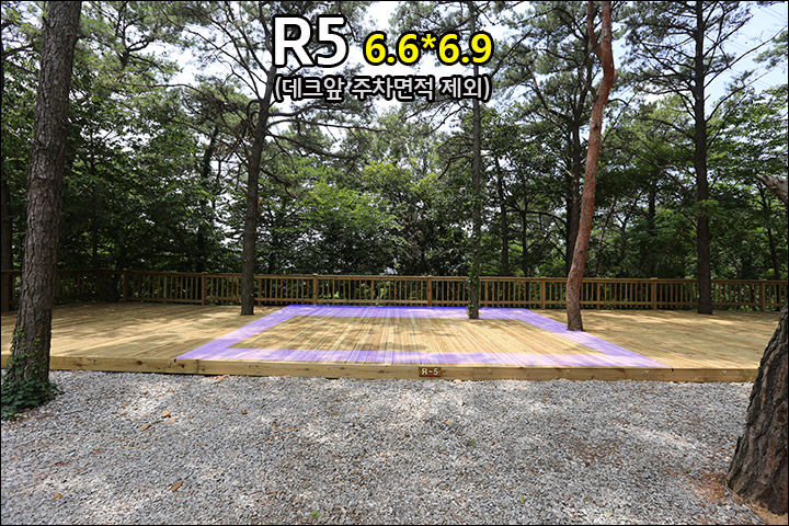 R5_1.jpg