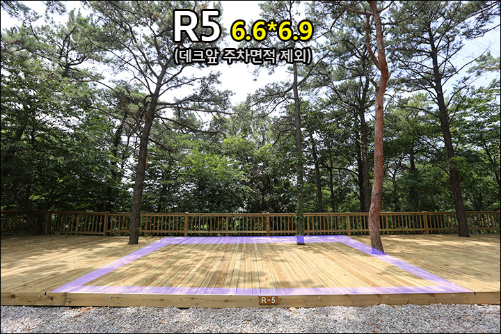 R5_2.jpg